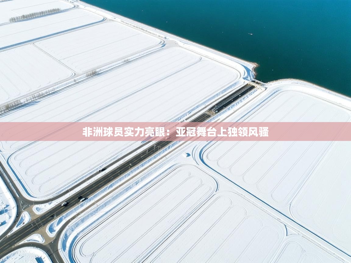 非洲球员实力亮眼：亚冠舞台上独领风骚  第2张