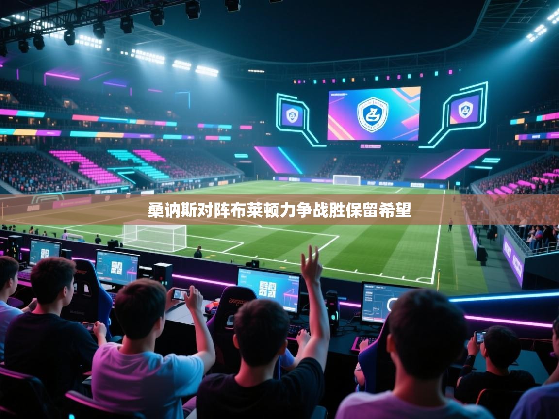 桑讷斯对阵布莱顿力争战胜保留希望 第2张