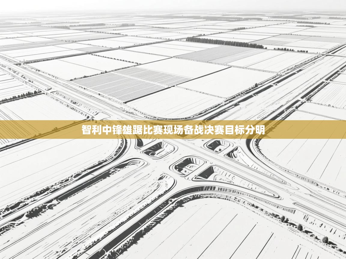 智利中锋雄踞比赛现场备战决赛目标分明  第2张